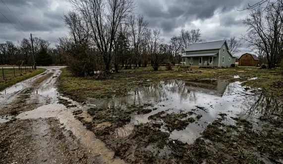 Standing water pooling in a rural North Missouri yard due to poor drainage and saturated clay soil