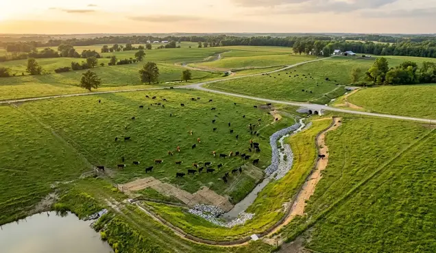 Pasture drainage improvements reclaiming usable grazing acreage in North Missouri